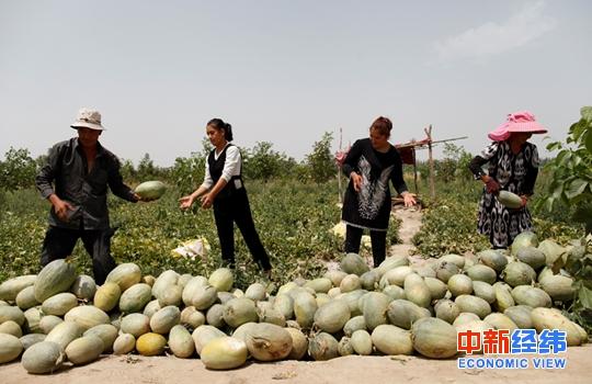 大漠最后的“赶驼人”借农村淘宝重走丝绸之路