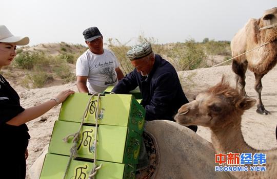 大漠最后的“赶驼人”借农村淘宝重走丝绸之路