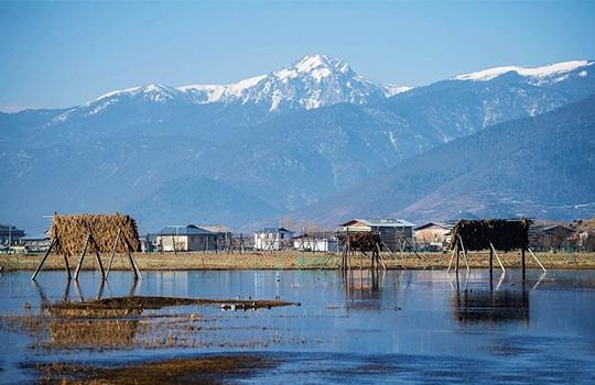 日媒曝岩国基地驻日美军违规行为