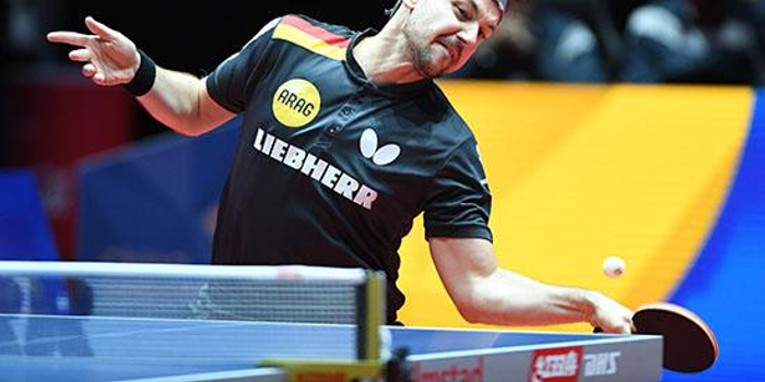 波尔排名_波尔山羊(2)