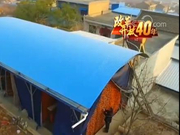 陕西富平：红柿子 绿色路