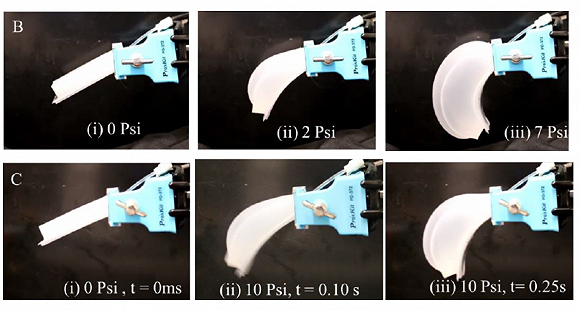 充气式柔性气动复合执行器。图片来源:德克萨斯大学
