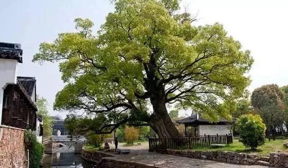 踏青怕堵？沿苏州这十条最美骑行路线，赴一场春天的约会