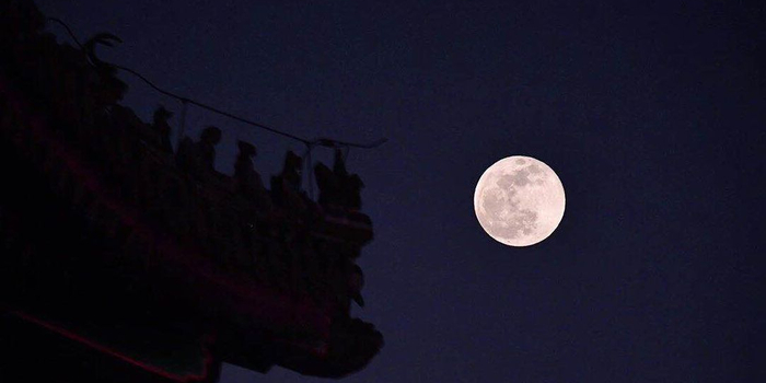 图为没人人体艺术 奸20黑丝妹亚洲无码大图套图系列高清图片