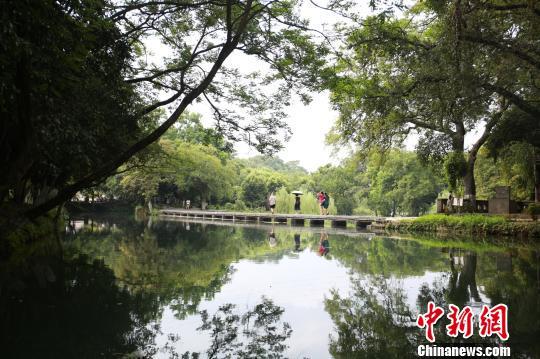 游人行走在灵渠泄水天平。 朱柳融 摄