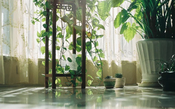 温暖无比