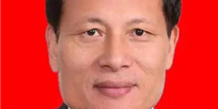 谢伏瞻当选河南人大常委会主任(图\/简历)