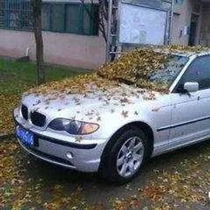 几个月的车才不算库存车 w300h300t50b71.jpg