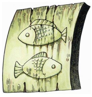 梦境的交织，鱼与蛇的奇遇——从敌对到友情的深层解读