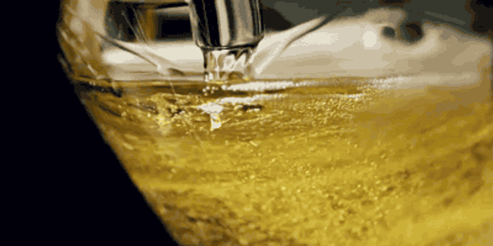 啤酒对身体的伤害大不大 w700h350z1l10t10a3a.jpg