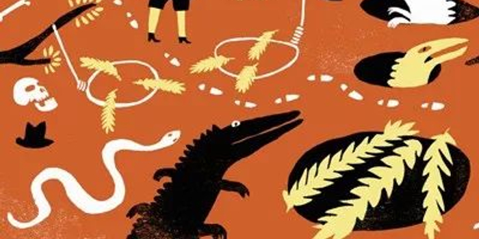 淡化风格科技股投资有套路 安信基金:2018仍值