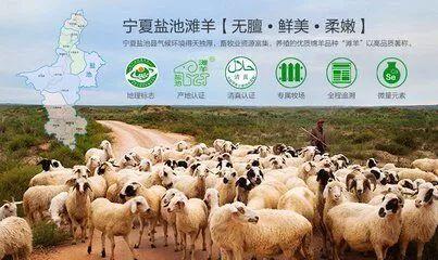 好消息！首批中国特色农产品优势区名单公示，中宁枸杞盐池滩羊榜上有名！