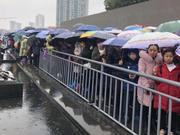 春节近20万人参观南京大屠杀遇难同胞纪念馆(图)