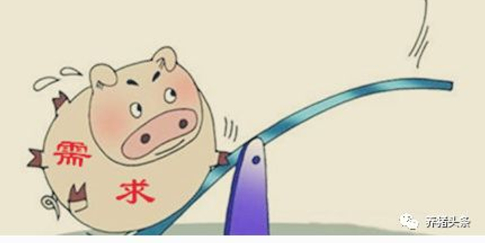 行情预测,从三点把握2018猪价起伏