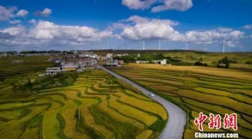 资料图:贵阳市花溪区高坡乡云顶旅游公路。 燕春 摄