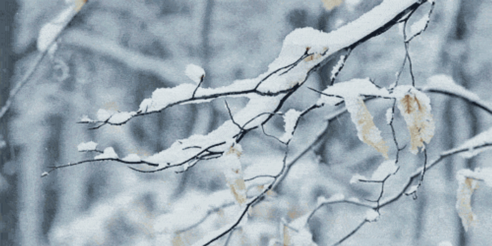 熄灯号|2018,面对部队调整改革,我坚守自己的初