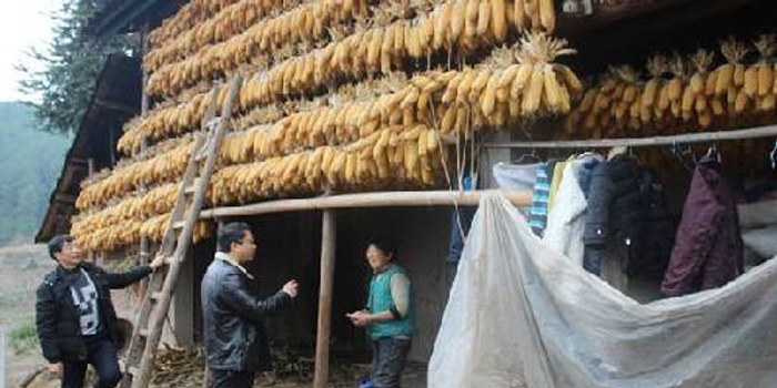 丰都县龙河镇:进村入户开展低保户信息核查工