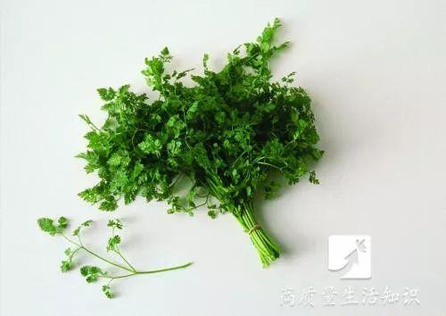 明日多云转晴|香菜10大功效你绝对想不到，第6条小编就惊呆了