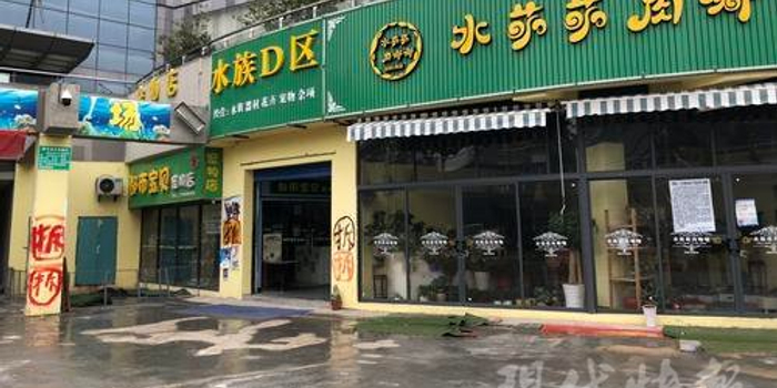 南京一花卉水族市场 商户经营才半年就面临搬