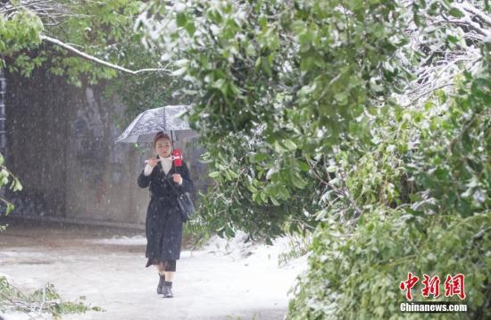 1月4日,安徽合肥迎来漫天大雪。中新社记者 张娅子 摄