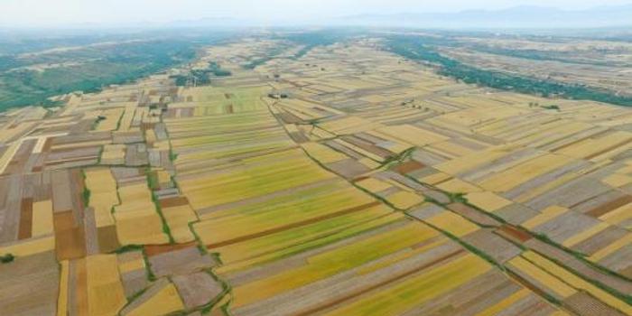 河南官方勒紧耕地红线 2020年不少于1.2亿亩