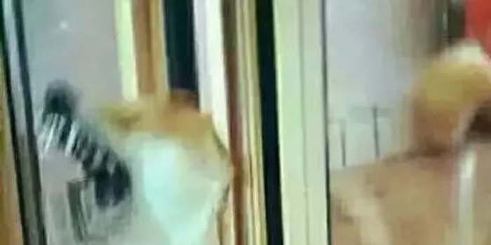 又被骗!垃圾短信回T退订?商家和代发平台的