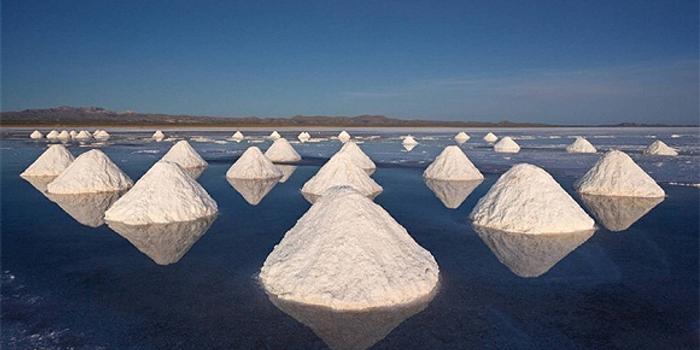 食盐专营办法放开食盐价格 专家建议需放宽市