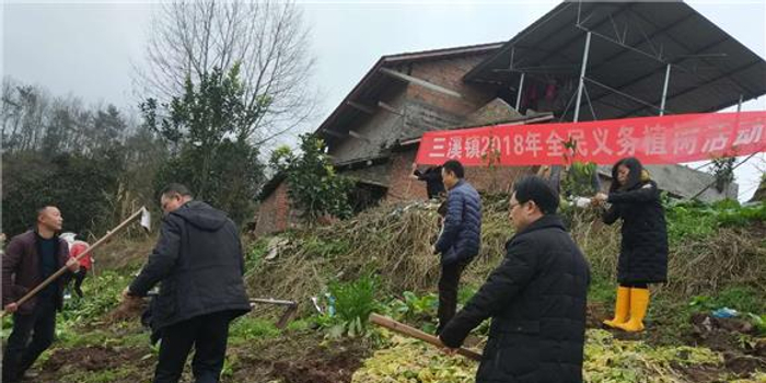 垫江:三溪镇积极开展全民义务植树活动