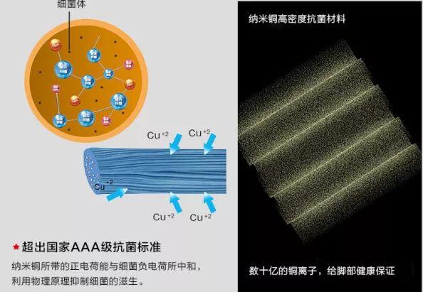 终于把这套随身携带多年的“生化武器”扔了，女友也让我进她家门了