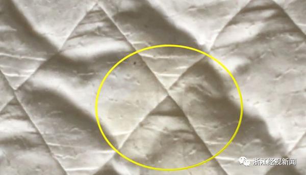毛发、血迹,大小不一,一摊摊、一团团的黄色不明污渍……