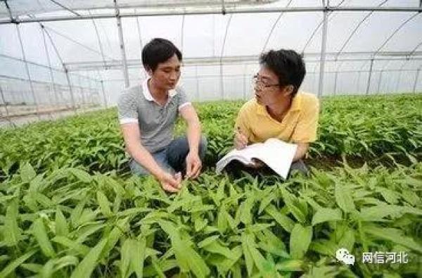 河北中、高考改革正在推进，选课走班将成高中教学新形式