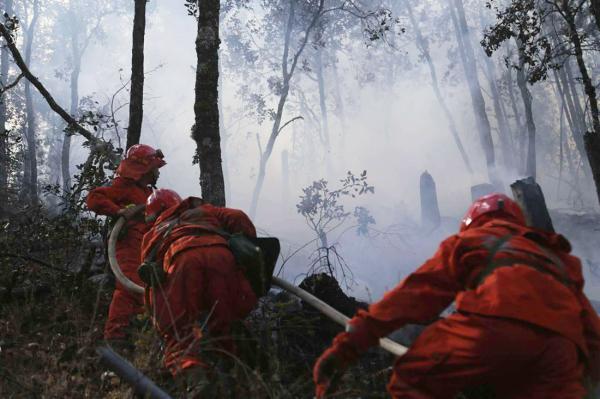 直击丨1580人、4架直升机参与四川雅江森林火灾扑救