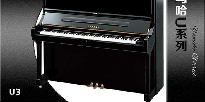 乐器一条街专卖店有猫腻 店主卖假雅马哈获