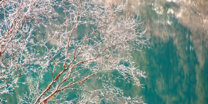 九寨沟景区3月8日重开 只接待团队游客并下调