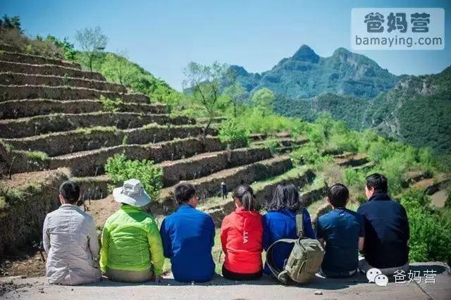 美到尖叫！中国最美的10大树屋酒店！带娃去童话中旅行吧！