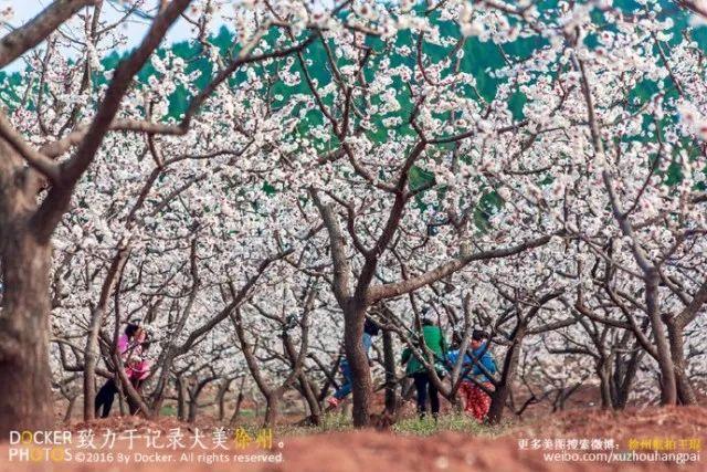 徐州最美的地方在哪里？这就为你一一揭秘！