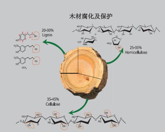 知识 | 遇到炭化技术的橡胶木挺起腰杆说，“现在的我神通广大”！