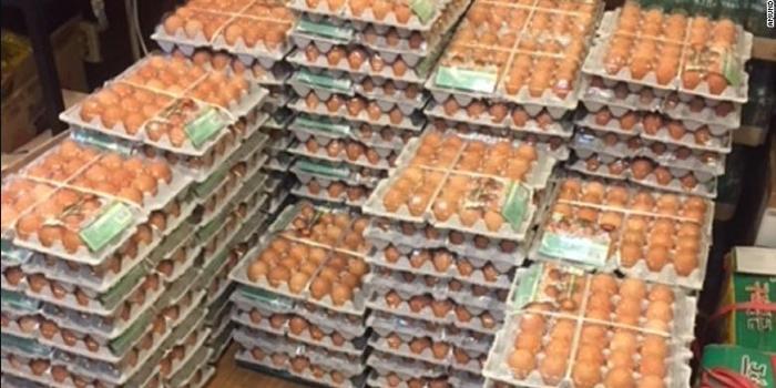 谷歌翻译出错 致挪威冬奥代表团多买一万多个鸡蛋