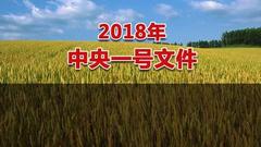 一图读懂16000多字中央一号文件 这些产业未来很吃香