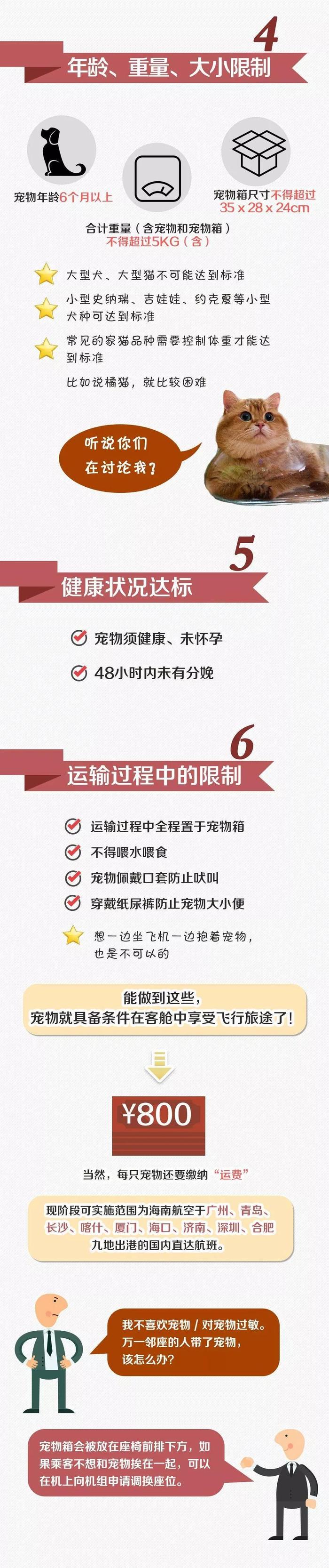 坐飞机也能带宠物了 哪些可以带？需要注意什么？