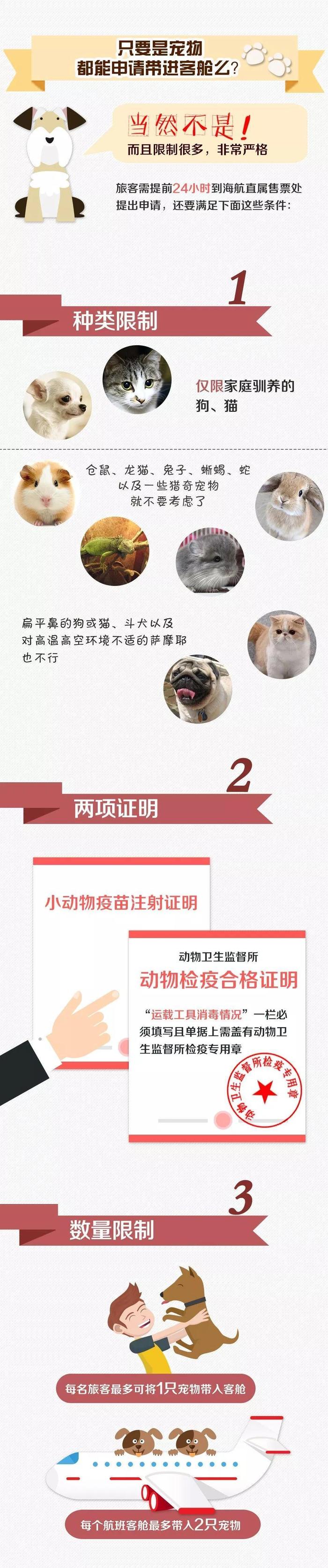 坐飞机也能带宠物了 哪些可以带？需要注意什么？