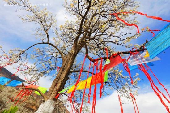 走近<a href='http://travel.sina.com.cn/jinchuan-lvyou/?from=b-keyword' >金川</a>神秘的嘉绒藏戏、马尔锅庄民族风