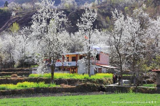 走近<a href='http://travel.sina.com.cn/jinchuan-lvyou/?from=b-keyword' >金川</a>神秘的嘉绒藏戏、马尔锅庄民族风