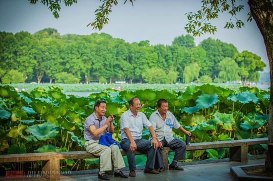 <a href='http://travel.sina.com.cn/hangzhou-lvyou/?from=b-keyword' >杭州</a><a href='http://travel.sina.com.cn/hangzhou_xihu1-lvyou/?from=b-keyword' >西湖</a>,六月荷花香满湖