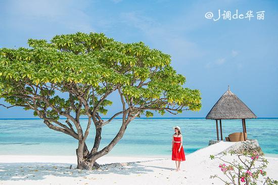 【<a href='http://travel.sina.com.cn/maerdaifu-lvyou/?from=b-keyword' >马尔代夫</a>】四季库达岛:小而美的<a href='http://travel.sina.com.cn/maerdaifu-lvyou/?from=b-keyword' >马尔代夫</a>风情后花园