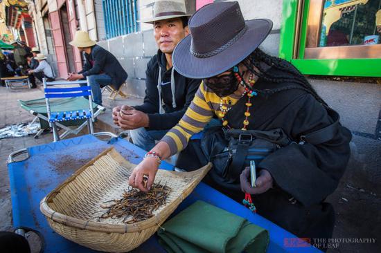 走进<a href='http://travel.sina.com.cn/yushuzhou-lvyou/?from=b-keyword' >玉树</a>,探访民间虫草交易市场,原来这里的水很深