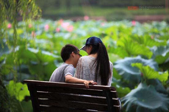 <a href='http://travel.sina.com.cn/hangzhou-lvyou/?from=b-keyword' >杭州</a><a href='http://travel.sina.com.cn/hangzhou_xihu1-lvyou/?from=b-keyword' >西湖</a>,六月荷花香满湖