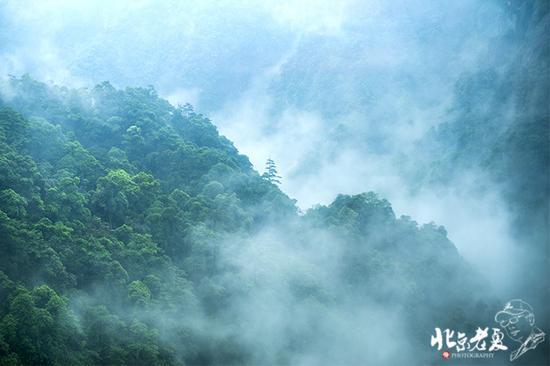 【实拍】江西 <wbr>· <wbr>在三清山云端听杜鹃花开(组图34张)