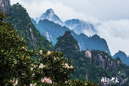 【实拍】江西 <wbr>· <wbr>在三清山云端听杜鹃花开(组图34张)
