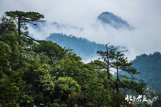 【实拍】江西 <wbr>· <wbr>在三清山云端听杜鹃花开(组图34张)